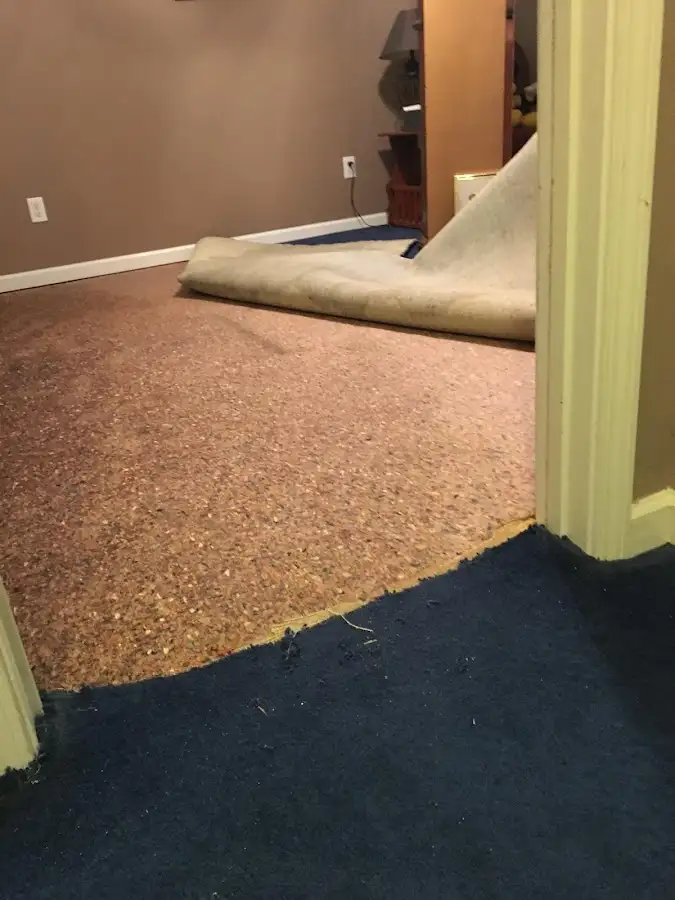 Carpet pad removal revealing water damage during Water Mitigation Services in Bridgewater